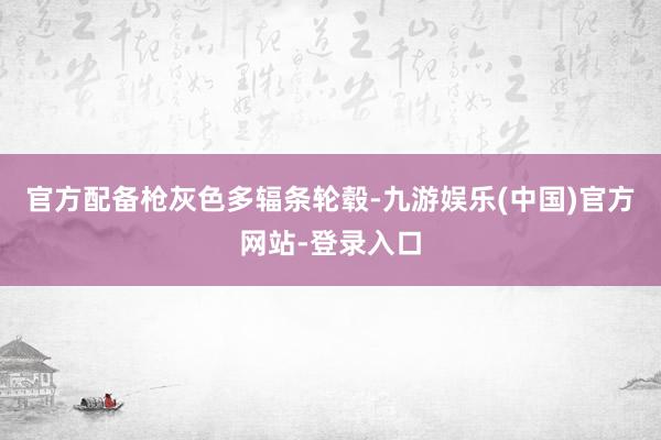 官方配备枪灰色多辐条轮毂-九游娱乐(中国)官方网站-登录入口