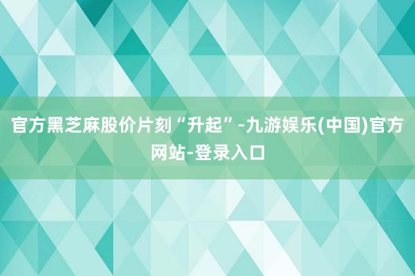 官方黑芝麻股价片刻“升起”-九游娱乐(中国)官方网站-登录入