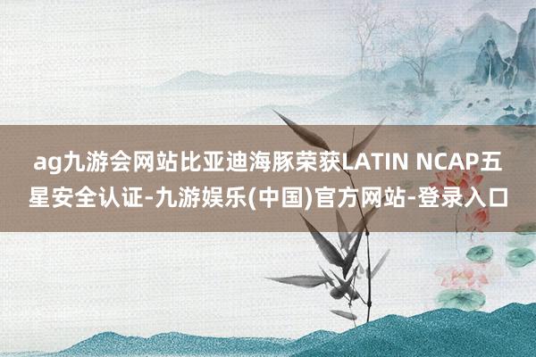 ag九游会网站比亚迪海豚荣获LATIN NCAP五星安全认证